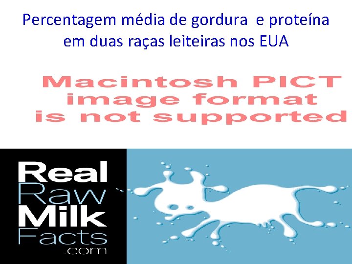 Percentagem média de gordura e proteína em duas raças leiteiras nos EUA 
