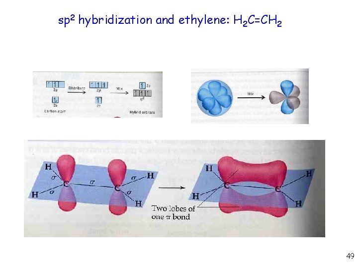 sp 2 hybridization and ethylene: H 2 C=CH 2 49 