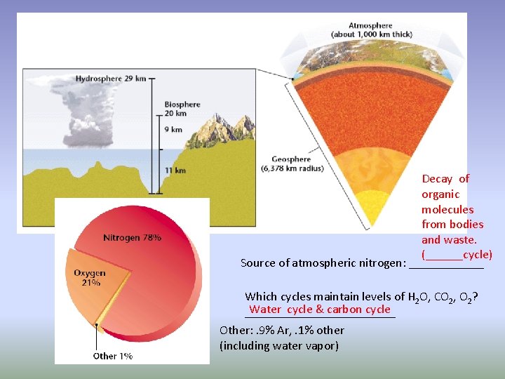 Decay of organic molecules from bodies and waste. (______cycle) Source of atmospheric nitrogen: ______