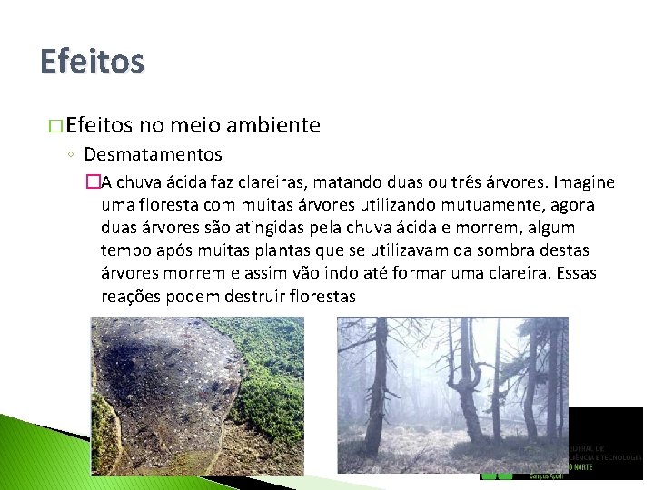 Efeitos � Efeitos no meio ambiente ◦ Desmatamentos �A chuva ácida faz clareiras, matando