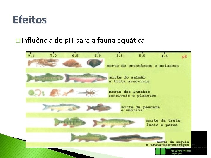 Efeitos � Influência do p. H para a fauna aquática 