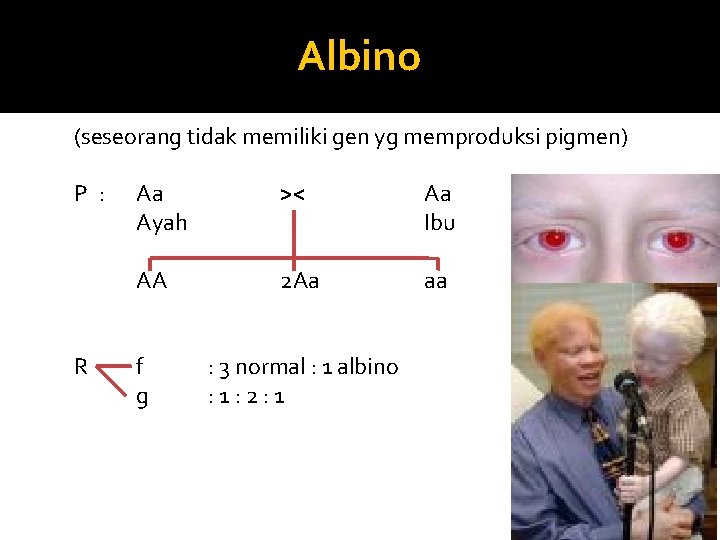 Albino (seseorang tidak memiliki gen yg memproduksi pigmen) P : R Aa Ayah ><