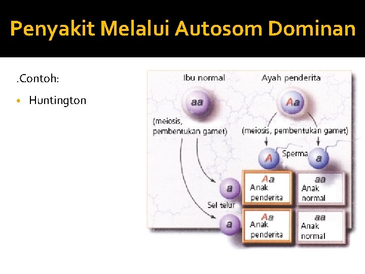 Penyakit Melalui Autosom Dominan. Contoh: • Huntington 