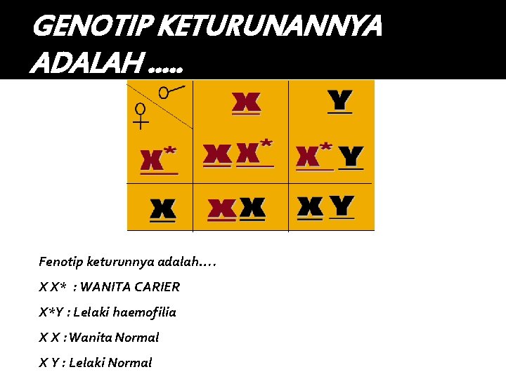 GENOTIP KETURUNANNYA ADALAH …. . Fenotip keturunnya adalah…. X X* : WANITA CARIER X*Y