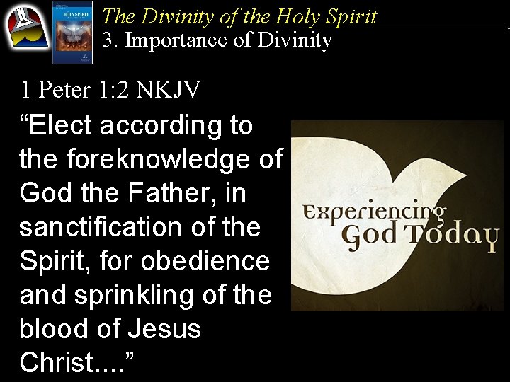 The Divinity of the Holy Spirit 3. Importance of Divinity 1 Peter 1: 2