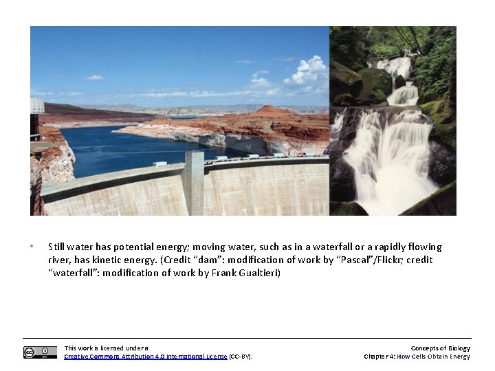  • Still water has potential energy; moving water, such as in a waterfall