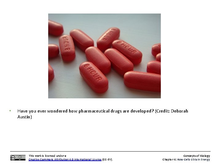  • Have you ever wondered how pharmaceutical drugs are developed? (Credit: Deborah Austin)