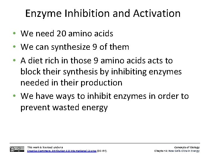 Enzyme Inhibition and Activation • We need 20 amino acids • We can synthesize