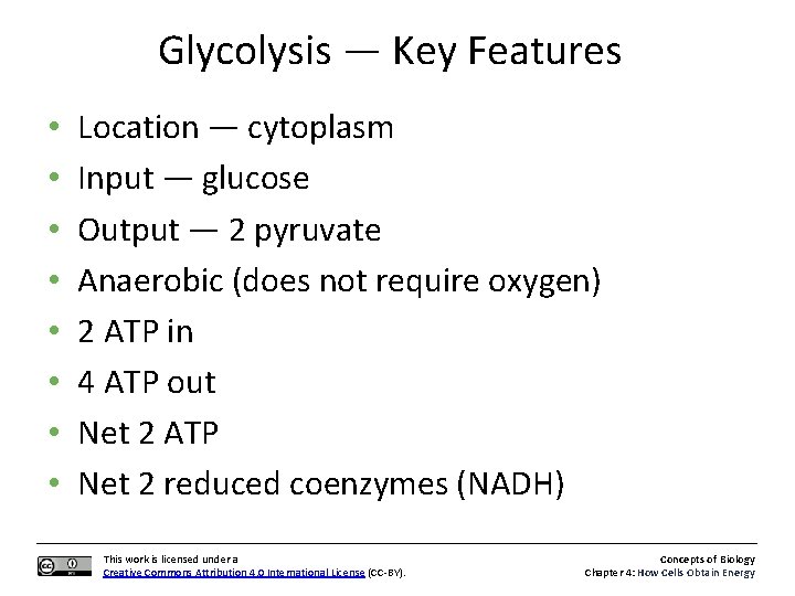 Glycolysis — Key Features • • Location — cytoplasm Input — glucose Output —
