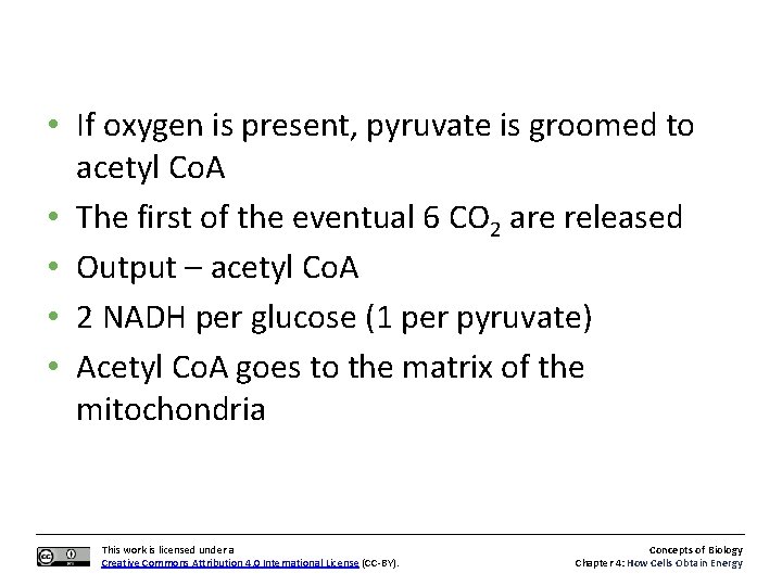  • If oxygen is present, pyruvate is groomed to acetyl Co. A •