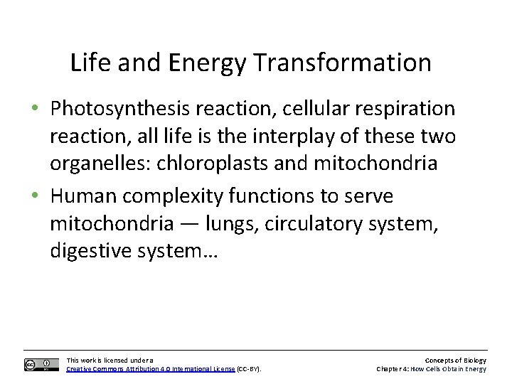 Life and Energy Transformation • Photosynthesis reaction, cellular respiration reaction, all life is the