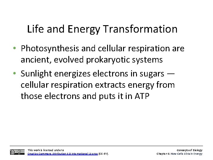 Life and Energy Transformation • Photosynthesis and cellular respiration are ancient, evolved prokaryotic systems