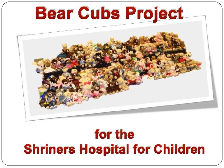 Bear Cubs Project for the Shriners Hospital for Children 