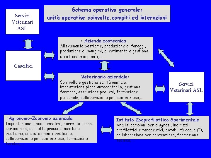 Servizi Veterinari ASL Schema operativo generale: unità operative coinvolte, compiti ed interazioni : Azienda