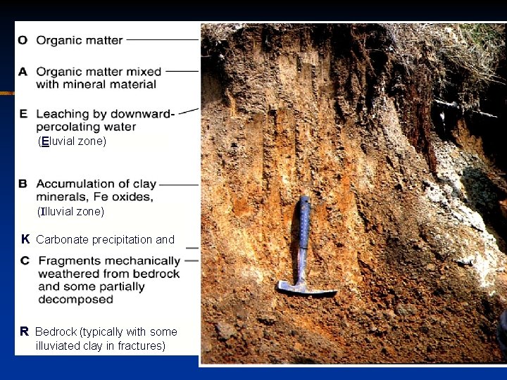 Soil Horizons (Eluvial zone) (Illuvial zone) K Carbonate precipitation and grain coating R Bedrock