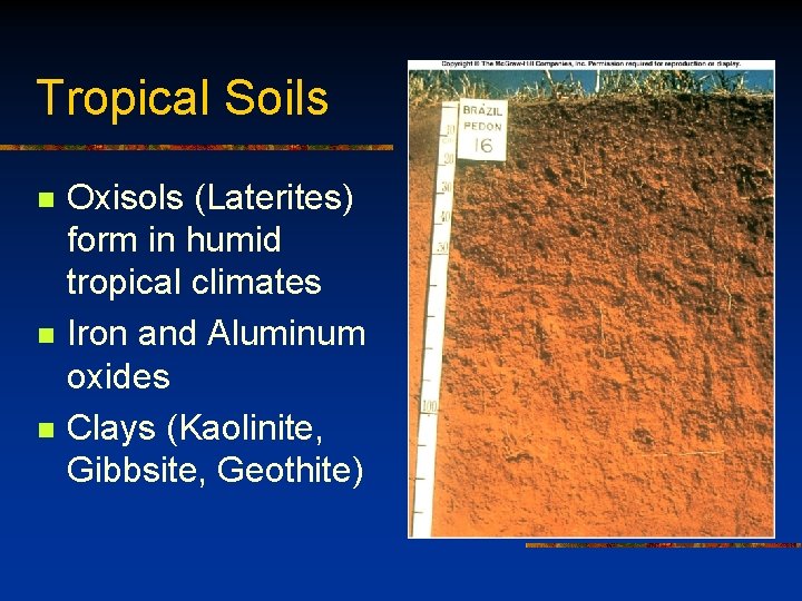 Tropical Soils n n n Oxisols (Laterites) form in humid tropical climates Iron and