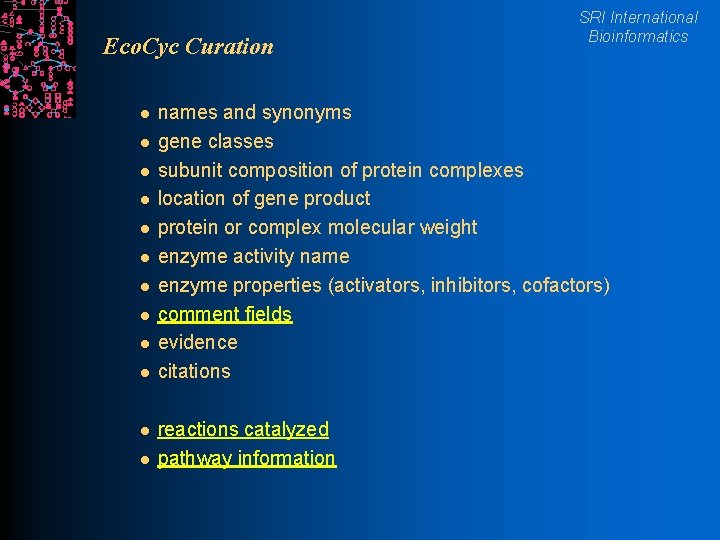 Eco. Cyc Curation l l l SRI International Bioinformatics names and synonyms gene classes