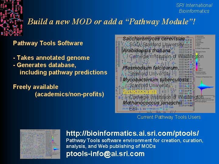 SRI International Bioinformatics Build a new MOD or add a “Pathway Module”! Pathway Tools
