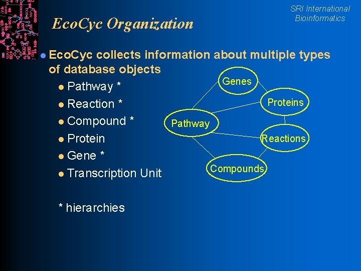 Eco. Cyc Organization l Eco. Cyc SRI International Bioinformatics collects information about multiple types