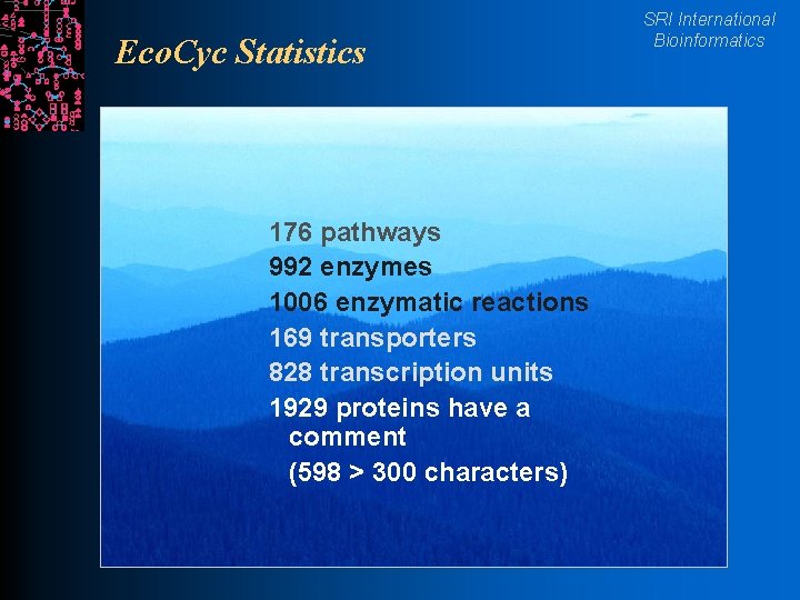 Eco. Cyc Statistics 176 pathways 992 enzymes 1006 enzymatic reactions 169 transporters 828 transcription