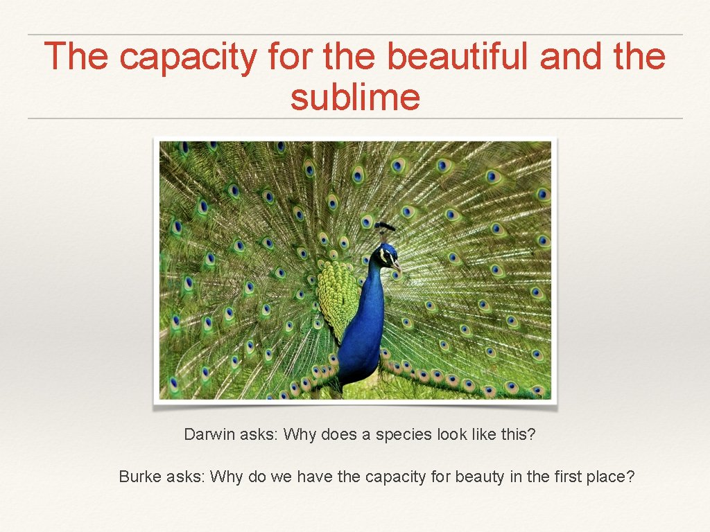 The capacity for the beautiful and the sublime Darwin asks: Why does a species