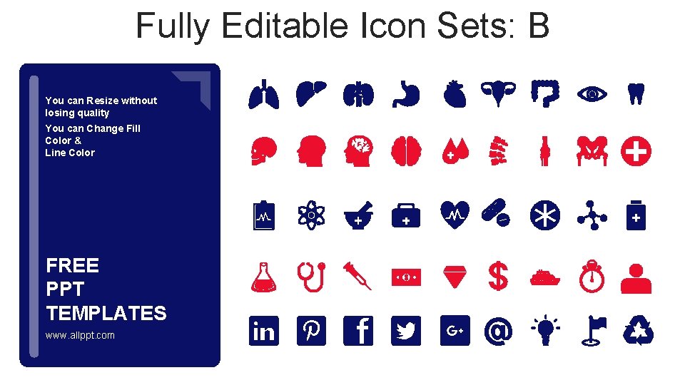 Fully Editable Icon Sets: B You can Resize without losing quality You can Change