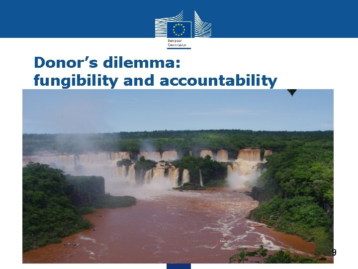 Donor’s dilemma: fungibility and accountability 9 