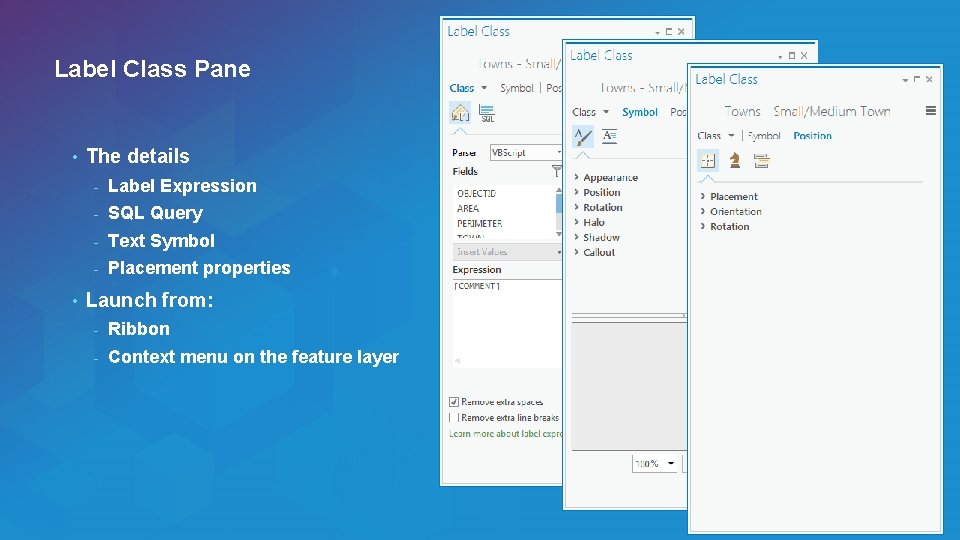 Label Class Pane • • The details - Label Expression - SQL Query -