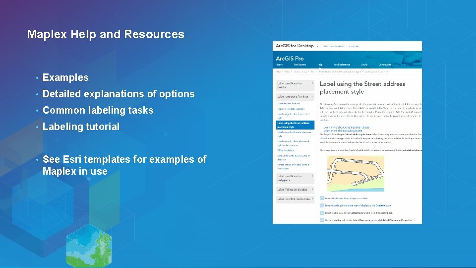 Maplex Help and Resources • Examples • Detailed explanations of options • Common labeling