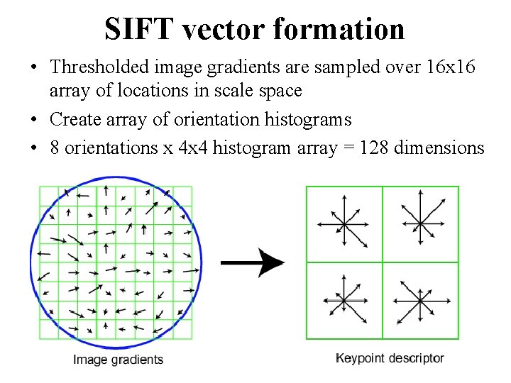 SIFT vector formation • Thresholded image gradients are sampled over 16 x 16 array