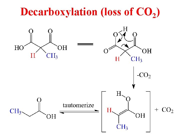 Decarboxylation (loss of CO 2) 