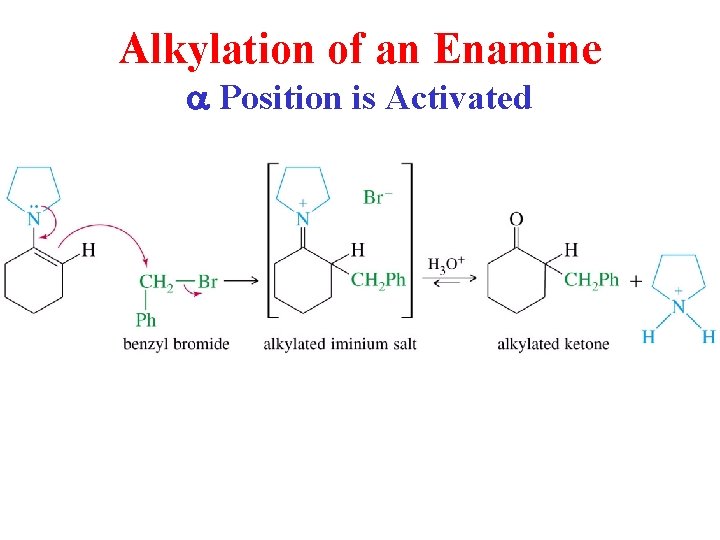 Alkylation of an Enamine a Position is Activated 