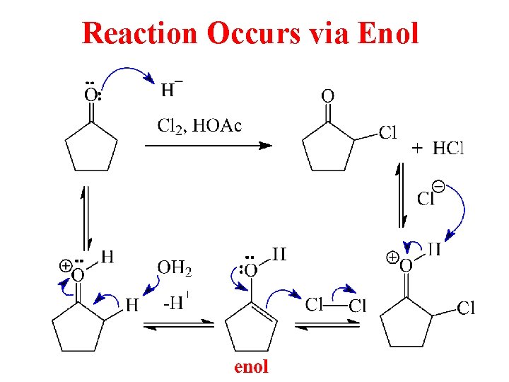 Reaction Occurs via Enol 