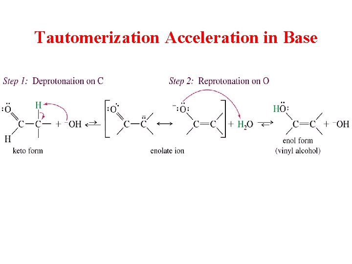 Tautomerization Acceleration in Base 