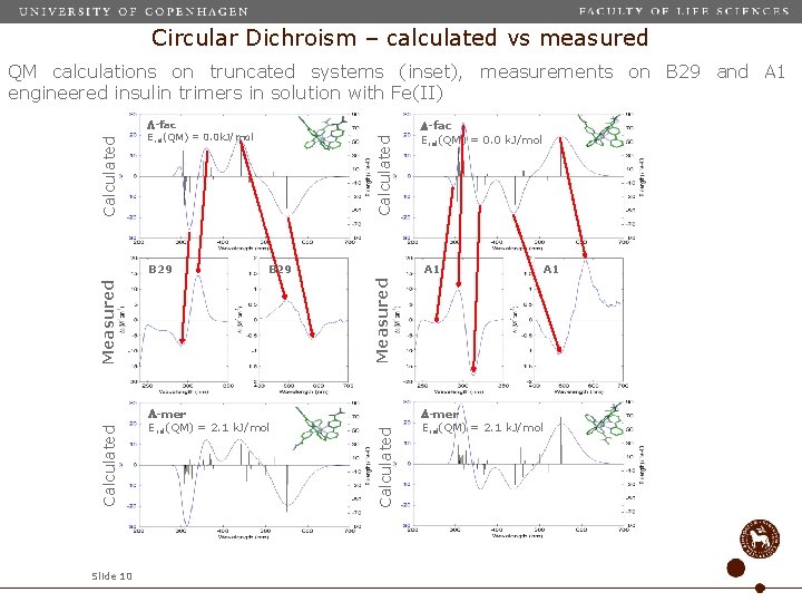 Circular Dichroism – calculated vs measured B 29 Measured Calculated Slide 10 -fac Erel(QM)