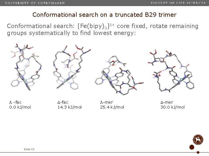 Conformational search on a truncated B 29 trimer Conformational search: [Fe(bipy)3]2+ core fixed, rotate