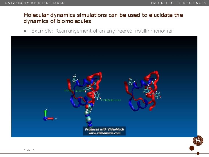 Molecular dynamics simulations can be used to elucidate the dynamics of biomolecules • Example: