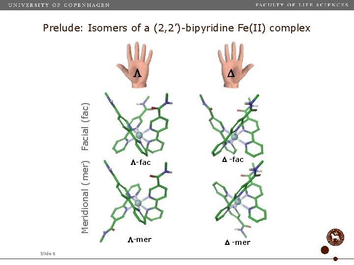Prelude: Isomers of a (2, 2’)-bipyridine Fe(II) complex Meridional (mer) Facial (fac) -fac -mer