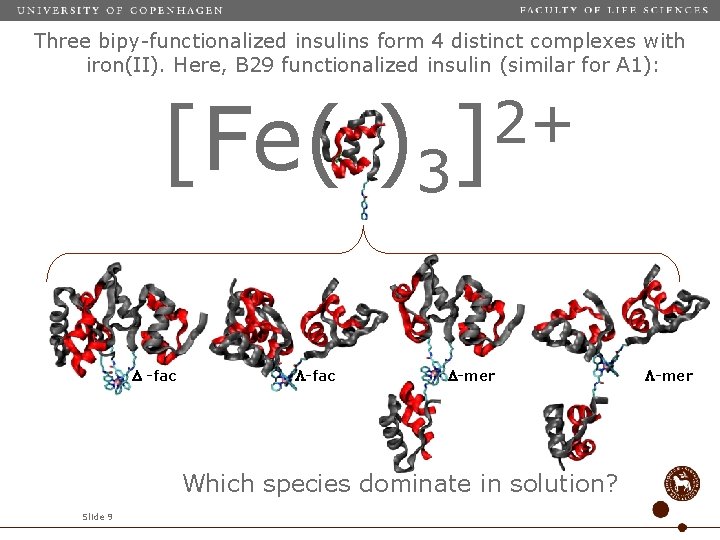 Three bipy-functionalized insulins form 4 distinct complexes with iron(II). Here, B 29 functionalized insulin