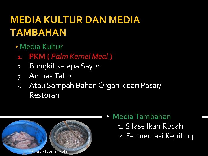 MEDIA KULTUR DAN MEDIA TAMBAHAN • Media Kultur 1. PKM ( Palm Kernel Meal