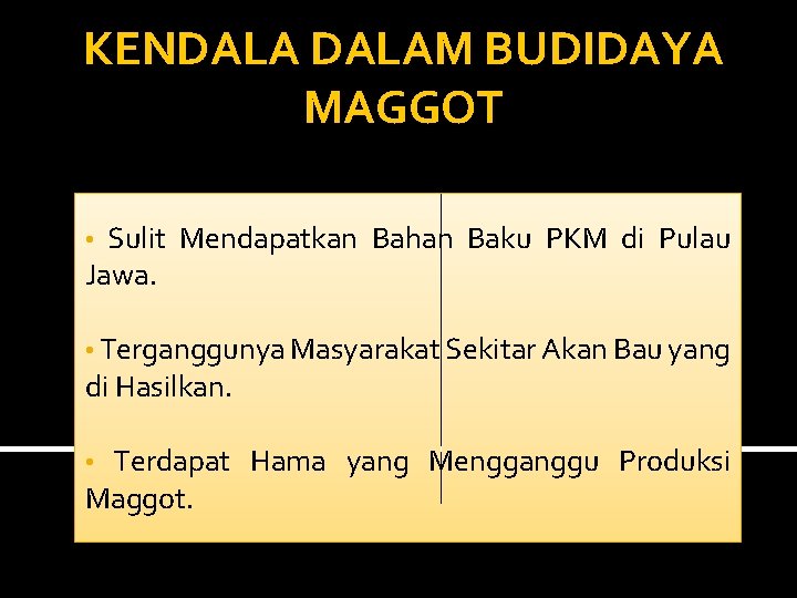 KENDALAM BUDIDAYA MAGGOT Sulit Mendapatkan Bahan Baku PKM di Pulau Jawa. • • Terganggunya