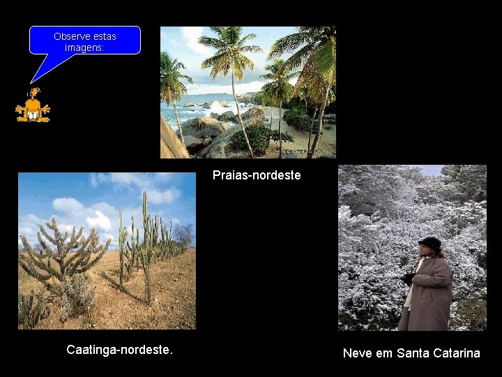 Observe estas imagens: Praias-nordeste Caatinga-nordeste. Neve em Santa Catarina 