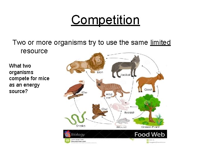 Competition Two or more organisms try to use the same limited resource What two