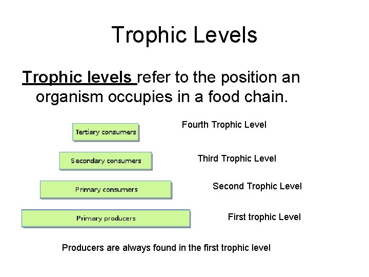 Trophic Levels Trophic levels refer to the position an organism occupies in a food