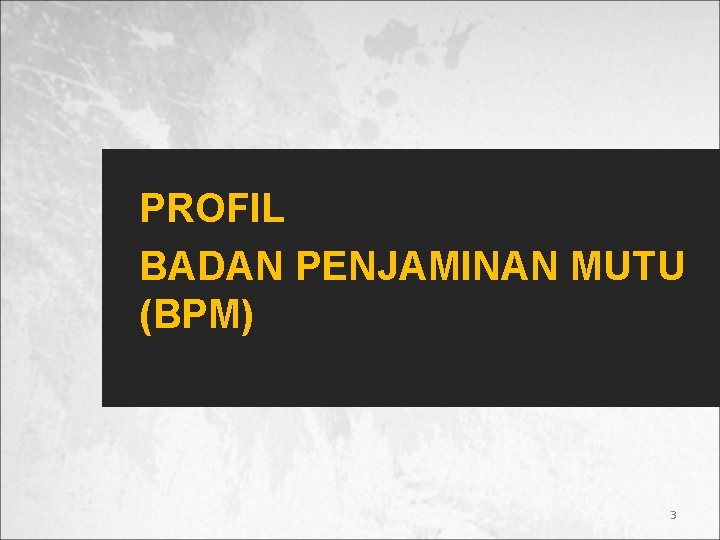 PROFIL BADAN PENJAMINAN MUTU (BPM) 3 