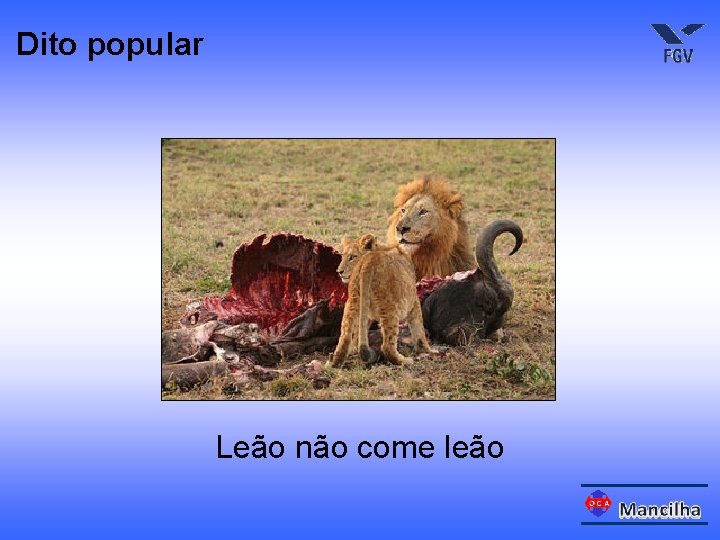 Dito popular Leão não come leão 