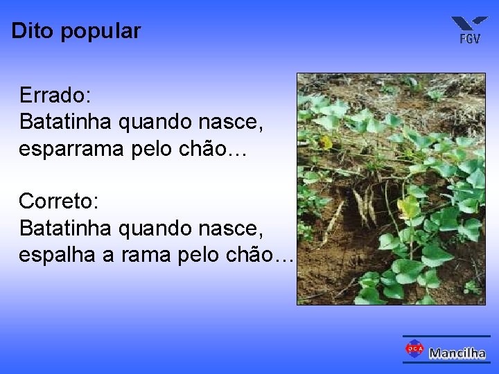 Dito popular Errado: Batatinha quando nasce, esparrama pelo chão… Correto: Batatinha quando nasce, espalha