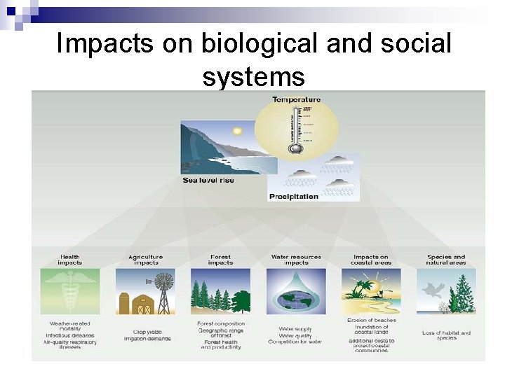 Impacts on biological and social systems 