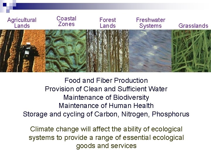 Agricultural Lands Coastal Zones Forest Lands Freshwater Systems Arid Lands & Grasslands Food and
