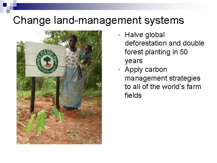 Change land-management systems Halve global deforestation and double forest planting in 50 years •
